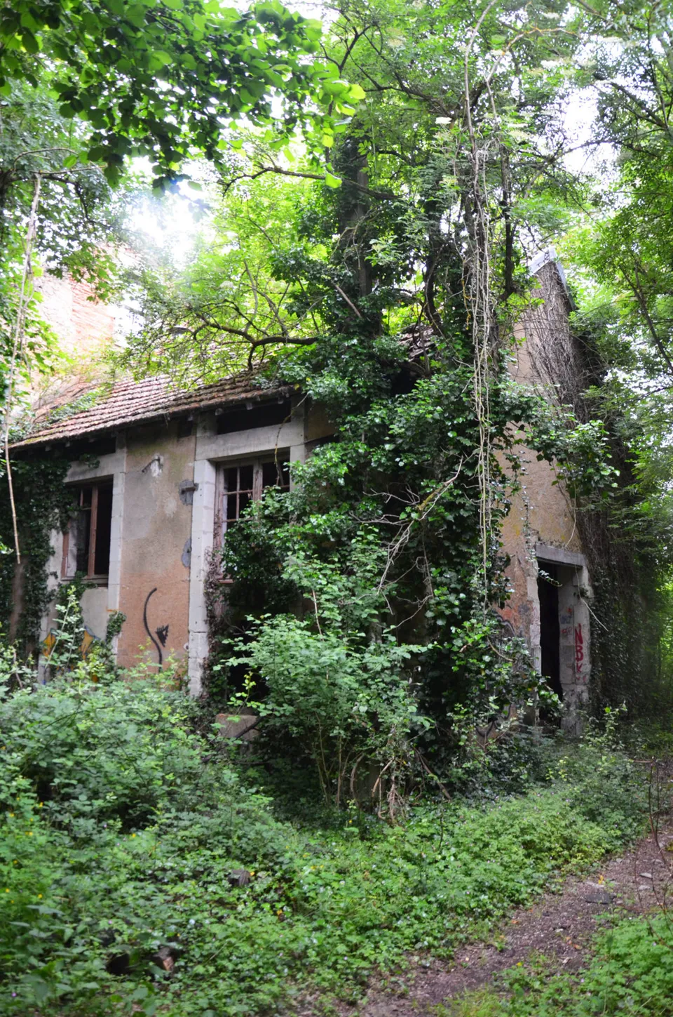 Un bâtiment de la filature envahi par la végétation avant sa réhabilitation